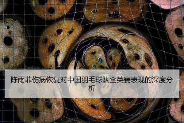 陈雨菲伤病恢复对中国羽毛球队全英赛表现的深度分析