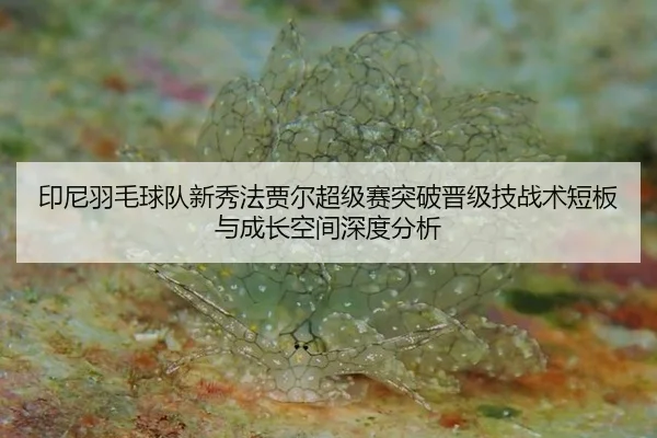 yin-ni-yu-mao-qiu-dui-xin-xiu-fa-jia-er-chao-ji-sai-tu-po-jin-ji-ji-zhan-shu-duan-ban-yu-cheng-zhang-kong-jian-shen-du-2-666.jpg
