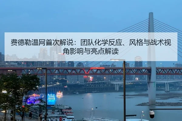 fei-de-lei-wen-wang-shou-ci-jie-shuo-tuan-dui-hua-xue-fan-ying-feng-ge-yu-zhan-shu-shi-jiao-ying-xiang-yu-liang-dian-2-166.jpg